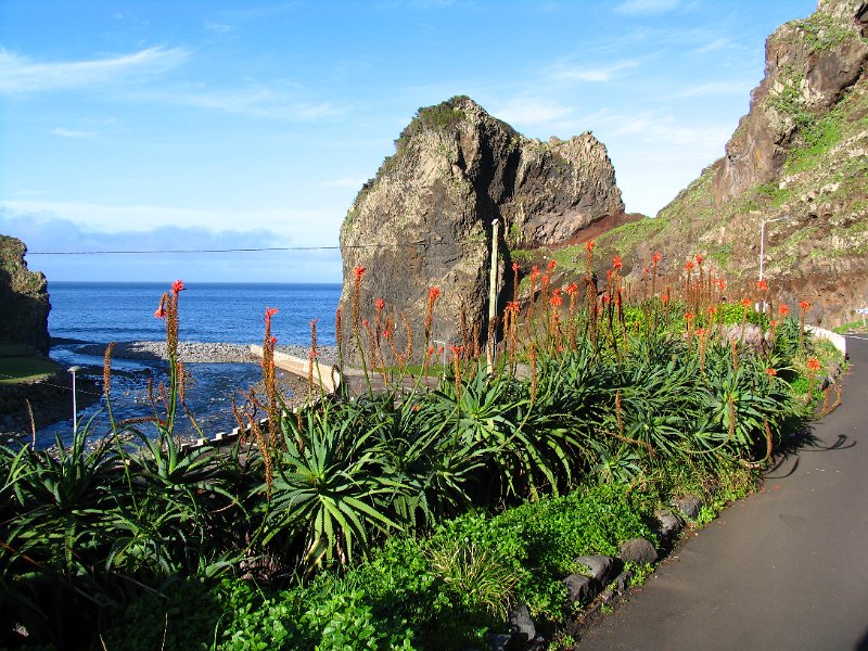 Madeira (227).jpg